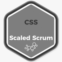 CSS Scaled Scrum