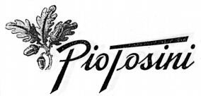 Pio Tosini