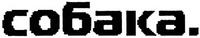 SOBAKA