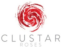 CLUSTAR ROSES