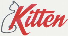 Kitten