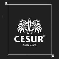 CESUR Since 1985
