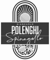 GIANCARLO POLENGHI Spinagallo