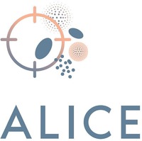 ALICE