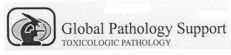 Global Pathology Support TOXICOLOGIC PATHOLOGY