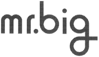 mr.big