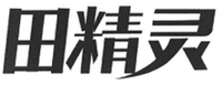 TIAN JING LING
