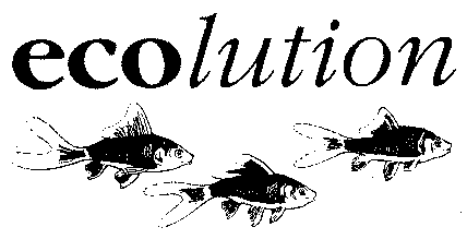 ecolution