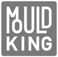 MOULD KING