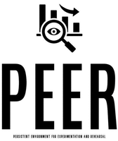PEER PERSISTENT ENVIRONMENT FOR EXPERIMENTATION AND REHEARSAL