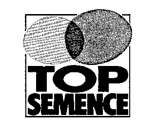 TOP SEMENCE