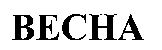 BECHA