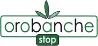 orobanche stop