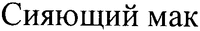 Siiaiushchii mak
