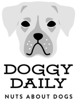 DOGGY DAILY NUTS ABOUT DOGS