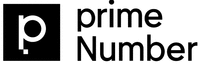 p prime Number