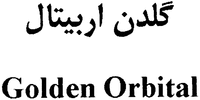 Golden Orbital