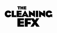THE CLEANING EFX
