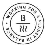 WORKING FOR A PLANET IN BALANCE B