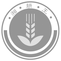 XIANG GENG WANG