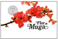 Flor de Muga