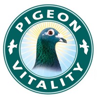 PIGEON VITALITY