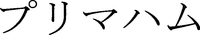The transliteration of katakana characters mark is 