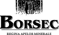 BORSEC REGINA APELOR MINERALE