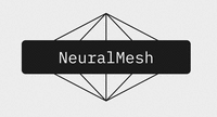 NeuralMesh