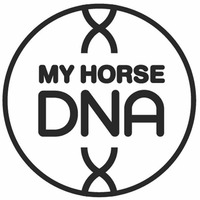 MY HORSE DNA