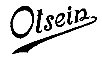 Otsein