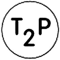 T2P