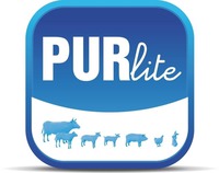 PURlite