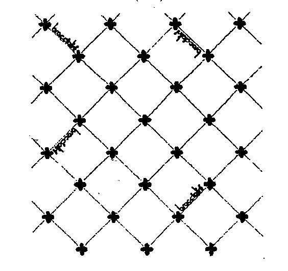 braccialini