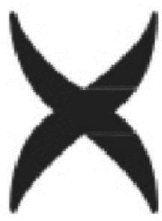 X