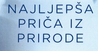 NAJLJEPŠA PRIČA IZ PRIRODE