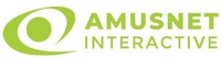 AMUSNET INTERACTIVE