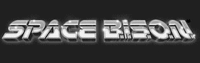 SPACE B.I.S.O.N.