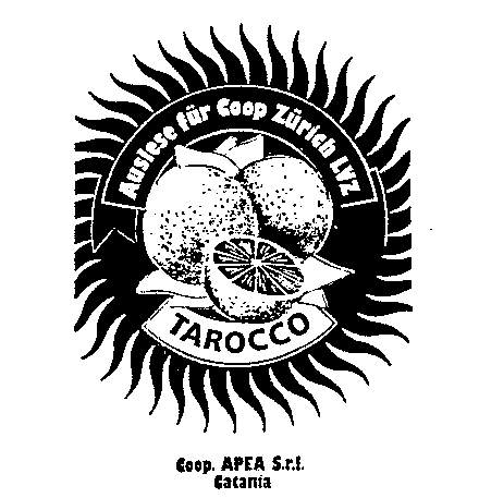 TAROCCO