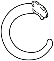 C
