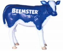 BEEMSTER