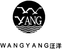 WANG YANG