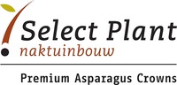 Select Plant naktuinbouw Premium Asparagus Crowns