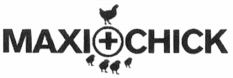 MAXI CHICK