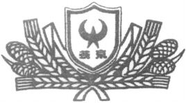 YAN JING