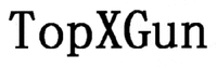 TopXGun