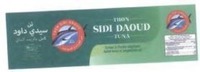THON SIDI DAOUD TUNA