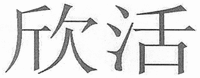 The non-Latin characters in the mark transliterate to 