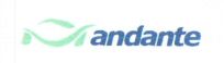 andante