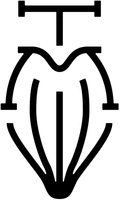 TM